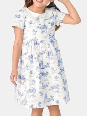 Gymboree Blue Belle Easter Bunny Dress Size 6 Toile print Formal Girly Tulle